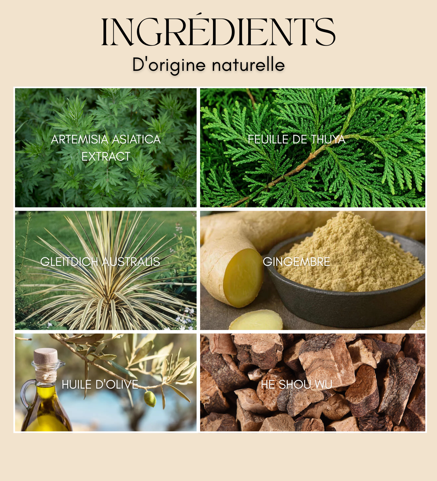 Savon Solide Anti-Chute & Pousse Herbes Naturelles