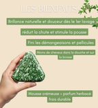 Savon Solide Anti-Chute & Pousse Herbes Naturelles